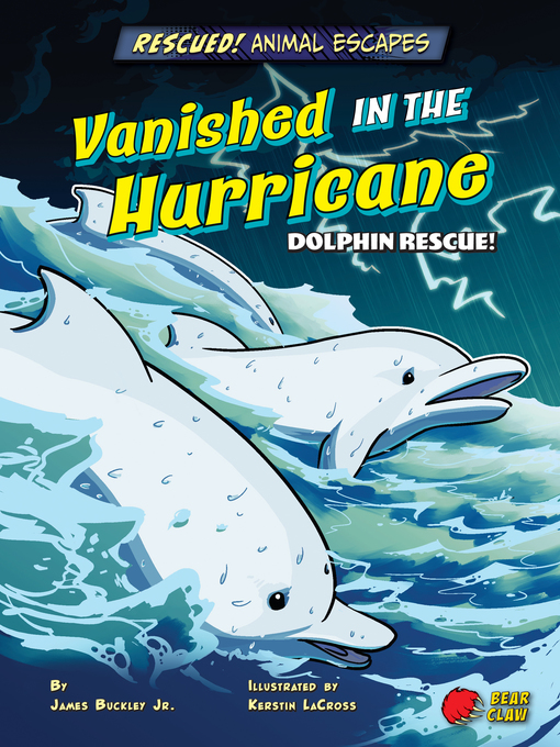 Cover image for Vanished in the Hurricane